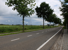 Van den Nestlaan